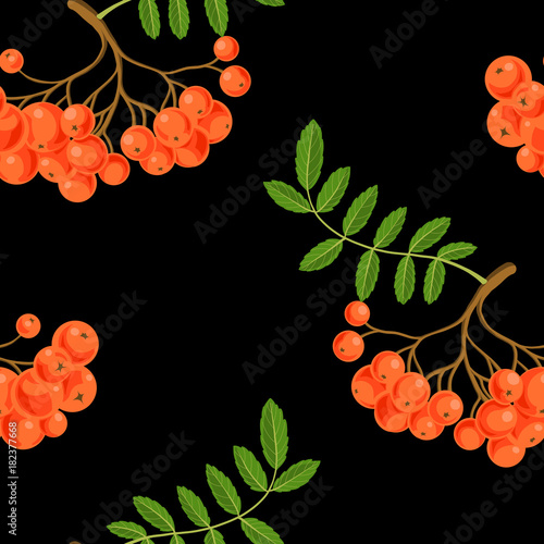 seamless pattern with rowan berries