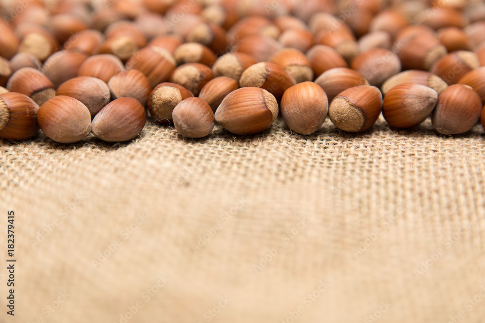 Several hazelnut on a jute fiber fabric with blurred background. Several hazelnut on a jute fiber fabric with blurred background.