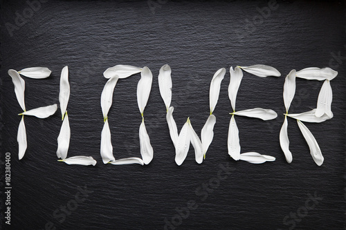 Fototapeta Naklejka Na Ścianę i Meble -  Flower word is written with white leaves on black