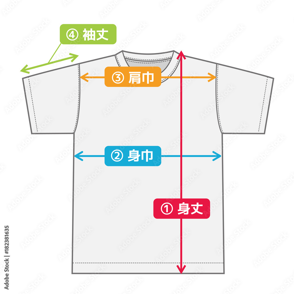 半袖tシャツ 寸法表 サイズ表用イメージイラスト カラーバージョン Stock Vector Adobe Stock