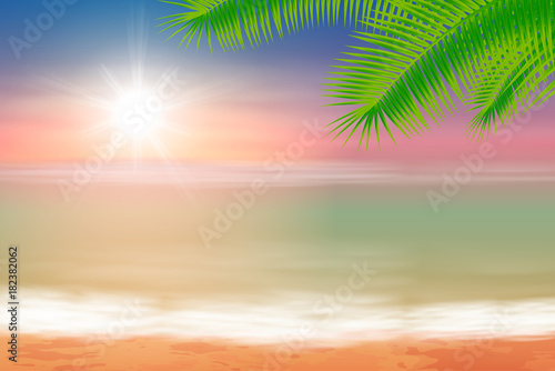 Beach and tropical sea with bright sun and palmtree leaves