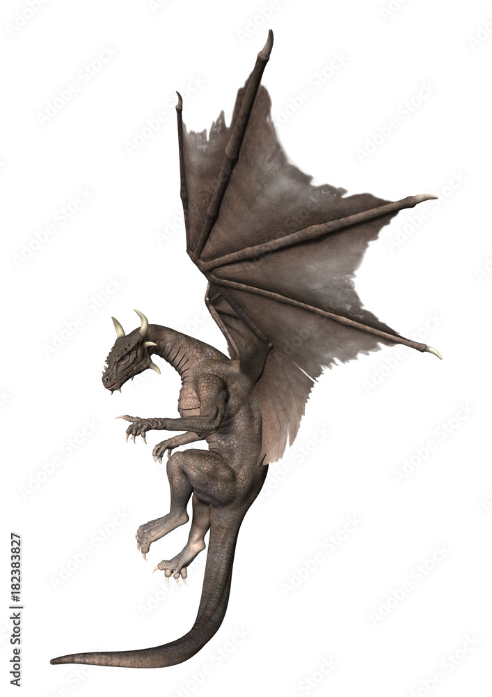 3D Rendering Fantasy Dragon on White 3D Rendering Fantasy Dragon on White