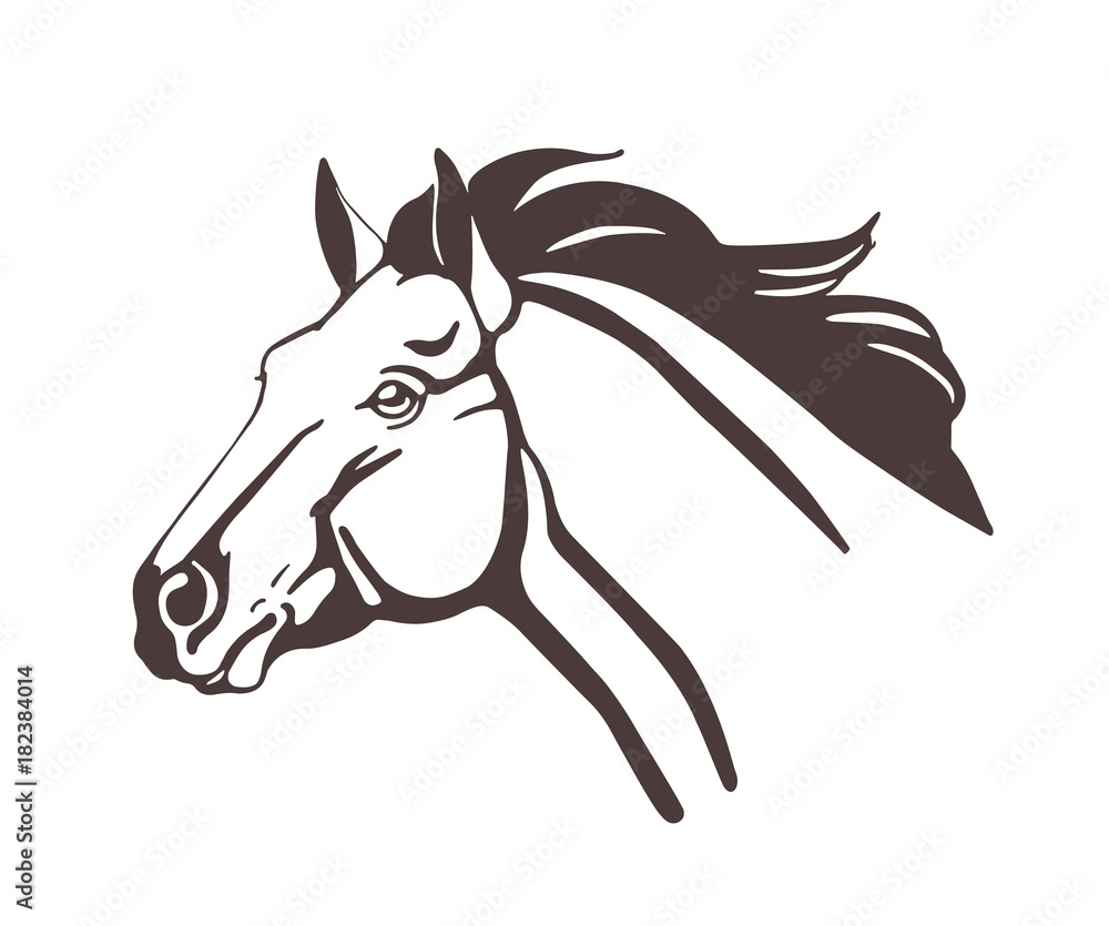 Horse head drawn with contour lines isolated on white background. Realistic outline  drawing of face of beautiful farm domestic animal with mane waving in wind.  Monochrome vector illustration. Stock Vector | Adobe