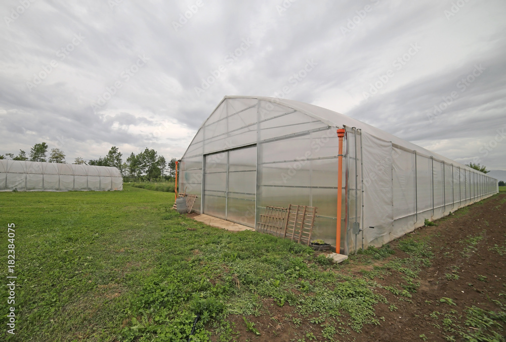 greenhouse for the cultivation of vegetables greenhouse for the cultivation of vegetables