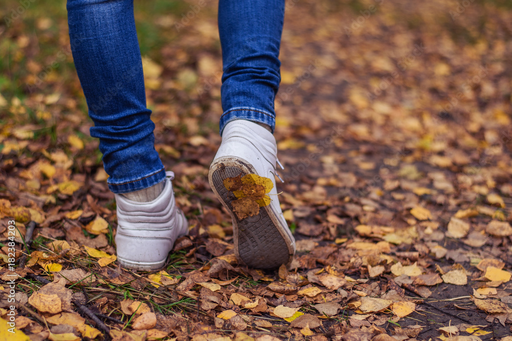 A man stops walking. The girl's girlfriend's. Hot girls on the nature in the park among the leaves of yellow. Autumn park in bright colors. A man stops walking. The girl's girlfriend's. Hot girls on the nature in the park among the leaves of yellow. Autumn park in bright colors.