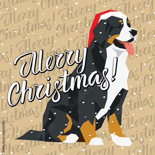 Vector Dogs Collection