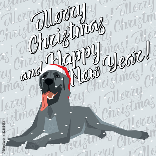 Vector Dogs Collection