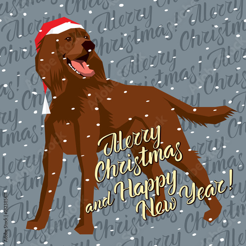 Vector Dogs Collection