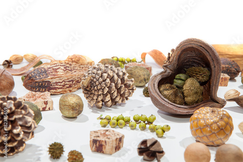 Traditional Victorian Christmas card decoration spread. Natural forest specimens displayed on white background.