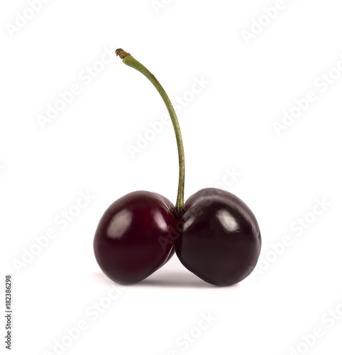 two cherries on one branch