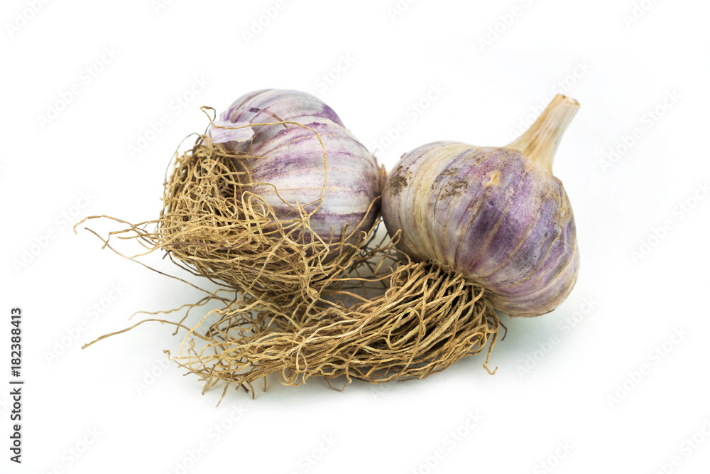 Knoblauch isoliert Knoblauch isoliert