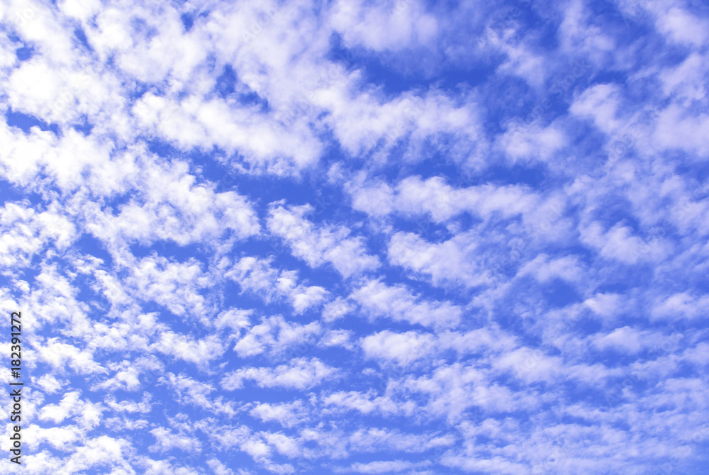 Fototapeta premium blue sky with white clouds in fall season