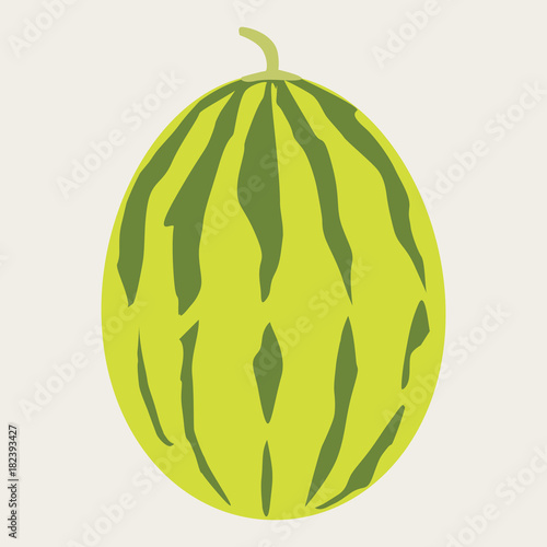 Melon Vector Illustration