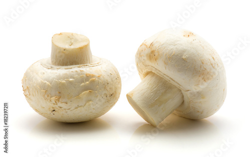 Two champignons isolated on white background raw.