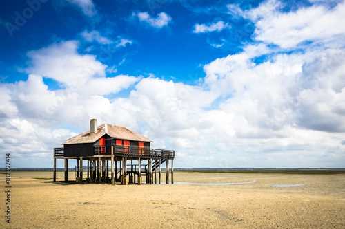 beautiful house in the basin of Arcachon