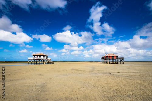 beautiful house in the basin of Arcachon