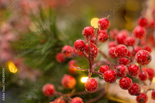 Red berries as Christmas decoration and green pine at the back with blurred yellow fairy lights