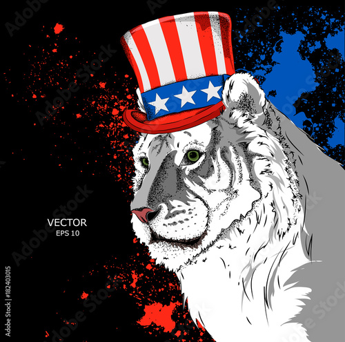 Fototapeta Naklejka Na Ścianę i Meble -  Portrait of a tiger in old American hat with a flag. National Symbols of the USA. Vector illustration 