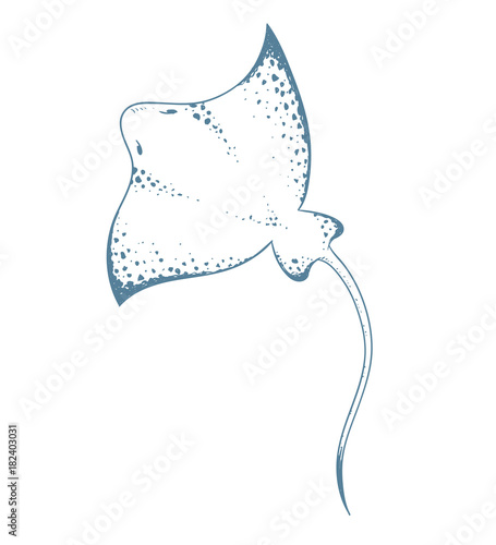Devil ray. Vector illustration.