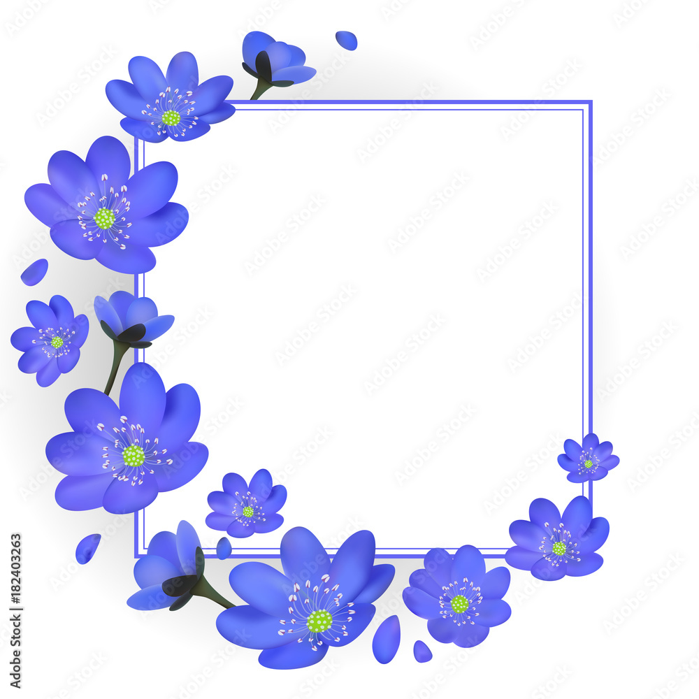 Flowers. Blue. Frame. Hepatic. Floral background. Border. Vector illustration. Card. Spring plants. Flowers. Blue. Frame. Hepatic. Floral background. Border. Vector illustration. Card. Spring plants.
