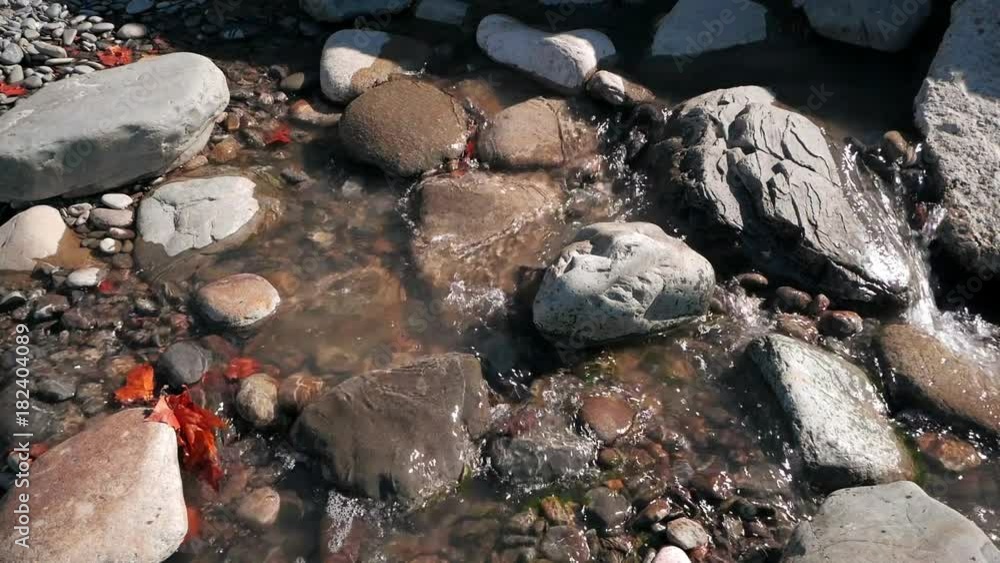 Red bright autumn leaves and big rocks in running water stream. Slow motion Red bright autumn leaves and big rocks in running water stream. Slow motion