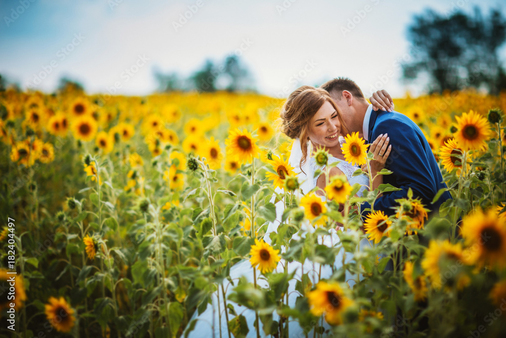 bride and groom against the background of a field of sunflowers bride and groom against the background of a field of sunflowers