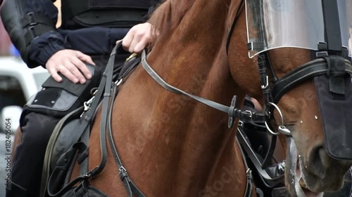 Horses mounted police in protective equipment on the streets of the city during public events. Close-up