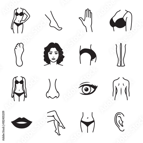 Human body parts icons