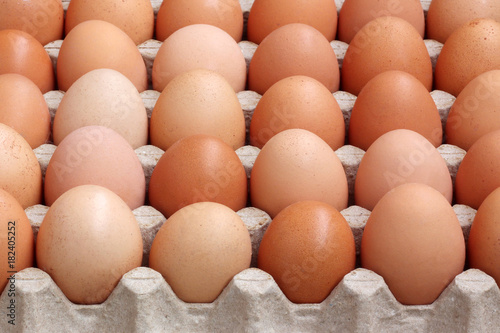 Brown chicken eggs in the tray.