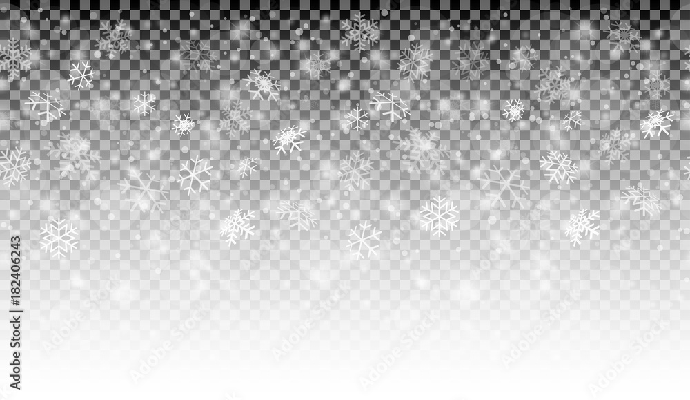 snow fall background with vector transparency snow fall background with vector transparency