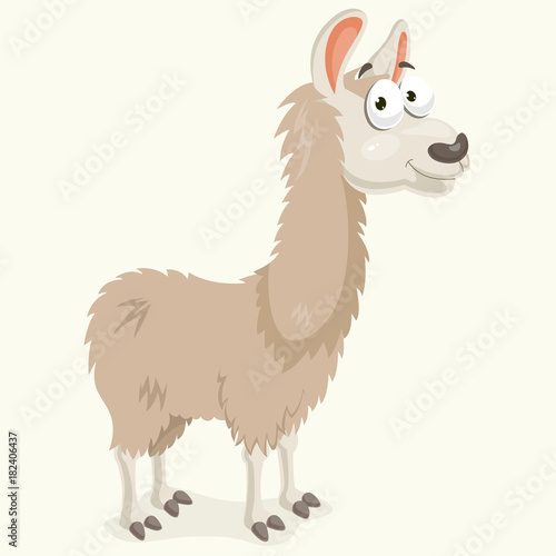 Llama Vector Illustration