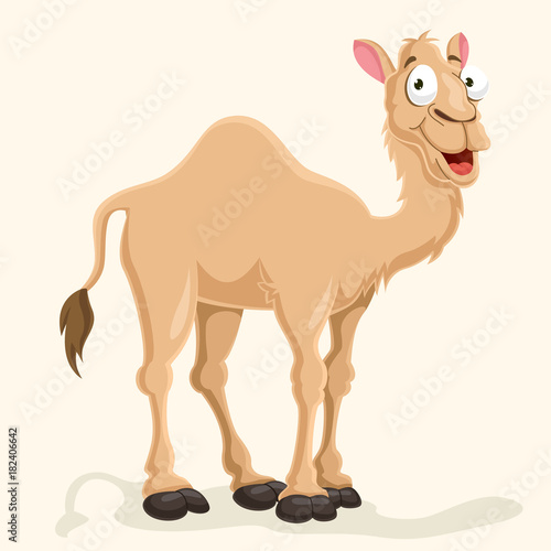 Camel Vector Illustration