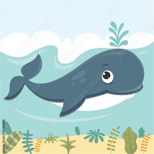 Whale Vector Illustration