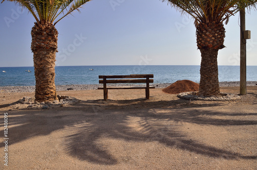 bench sea and palm