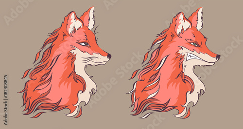 Angry and calm fox, detailed cartoon style vector illustration