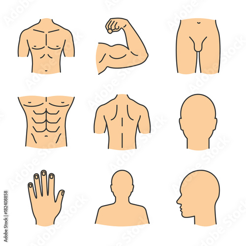 Male body parts color icons set