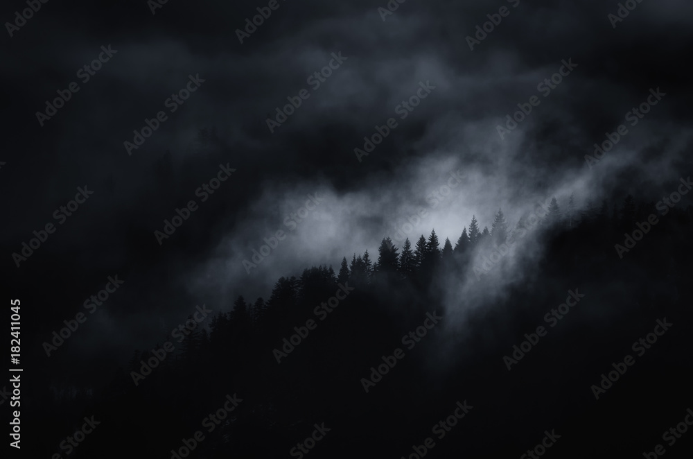 Obraz premium ciemny krajobraz, mglista góra z drzewami w nocy