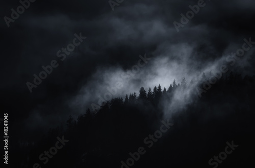 dark landscape  misty mountain with trees at night