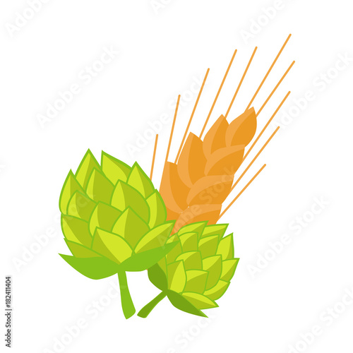 Hop and Golden Ears of Wheat Vector Illustrations