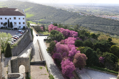 Palmela castle photo