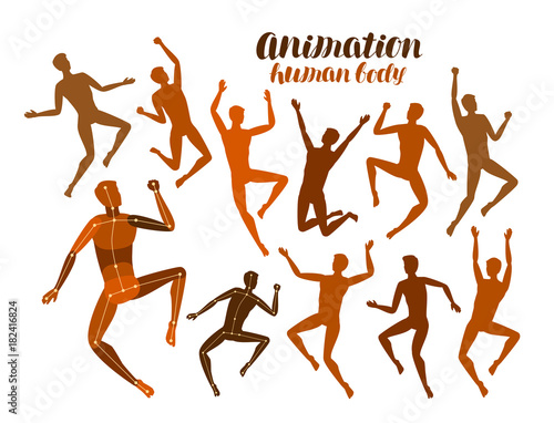 Animation of human body. Anatomy, people in motion concept. Silhouettes, vector illustration