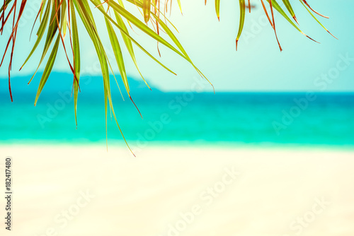 Fototapeta Naklejka Na Ścianę i Meble -  Palm leaf and tropical beach
