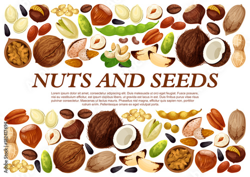 Vector poster of nuts and fruit seeds