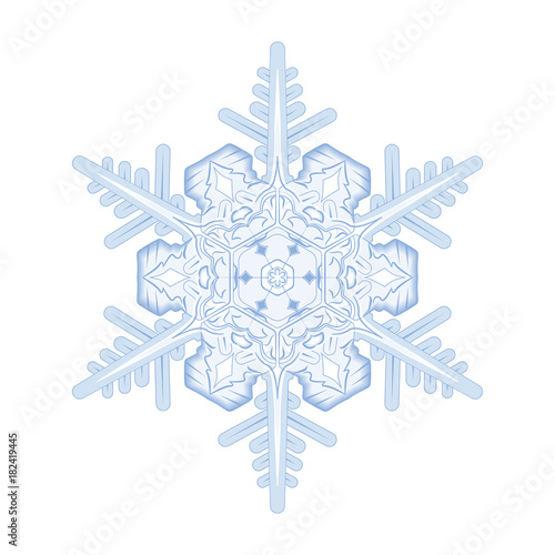 Realistic snowflake vector in light blue and white colors