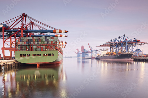 Container ships and cranes at Elbe river in Port of Hamburg, Germany