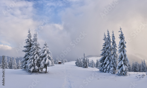 Fantastic winter landscape with snowy trees. Carpathian mountains  Ukraine  Europe. Christmas holiday concept
