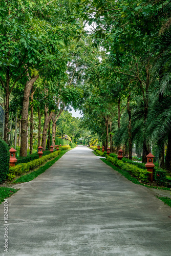 Concrete country road