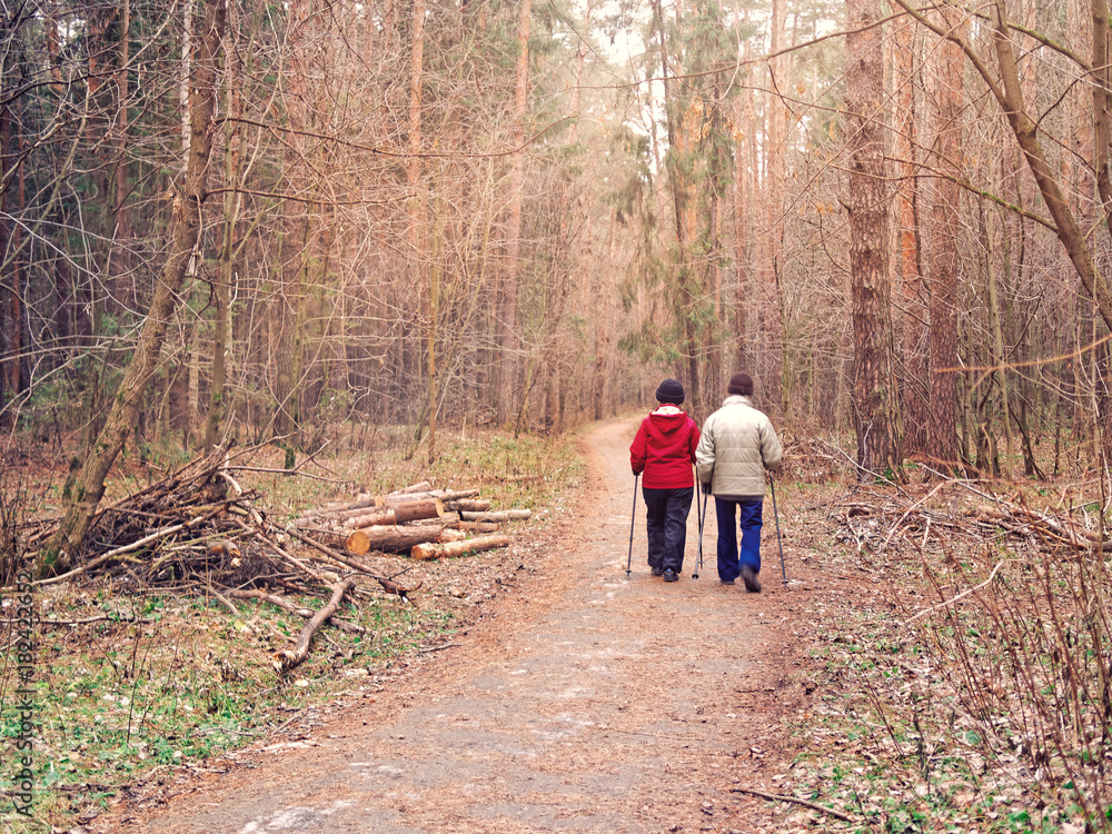 Fototapeta premium An elderly couple is walking along a forest path. In the hands of people there are walking sticks. Man and woman support a healthy lifestyle