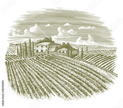 Woodcut Vintage Italian Vineyard