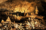 Höhlenbär Knochen in Tropfsteinhöhle